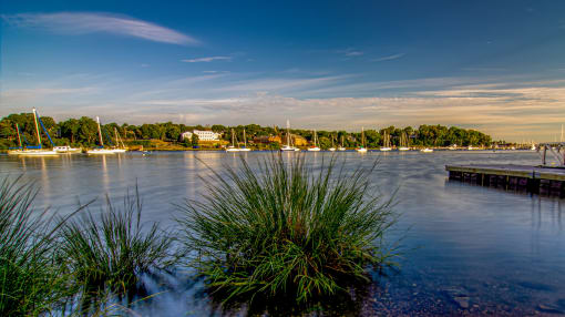 Harbor
