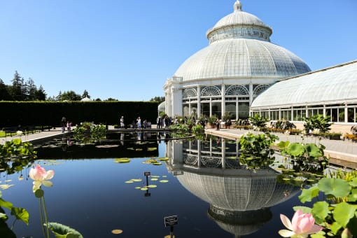 Botanical Garden
