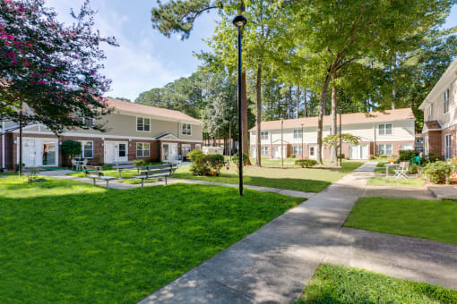 Ample Green Space