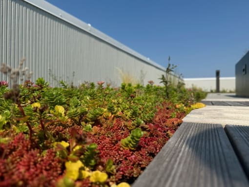 a garden with red and green plants next to a wooden bench at Junction Central, Seattle