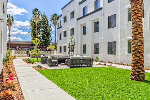 A white building with a palm tree in front.