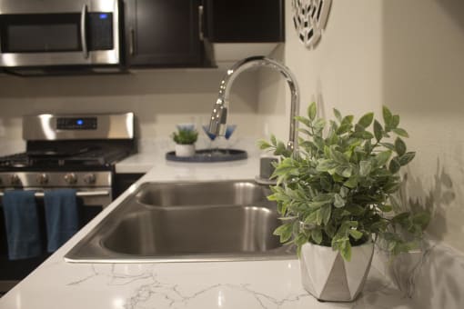 a kitchen sink with a plant on the counter at The Crossings at Redlands, Redlands, California