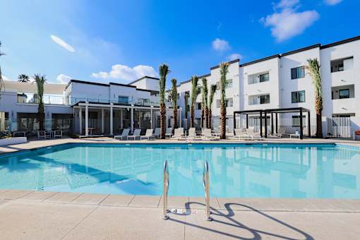 A swimming pool in front of a row of palm trees and a building.
