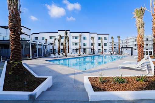 A pool surrounded by palm trees and white chairs.