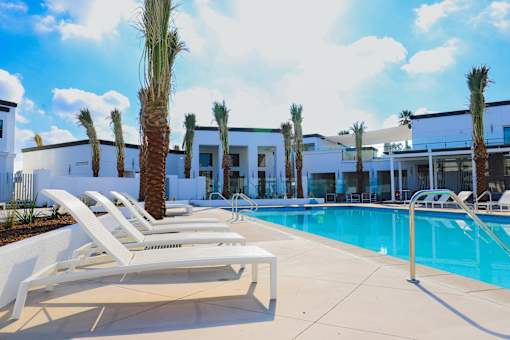 A pool area with sun loungers and palm trees.