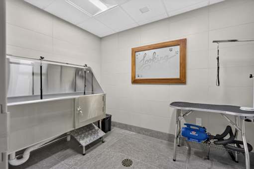 Pet grooming station with washing tub at Sol Apartments, Troy