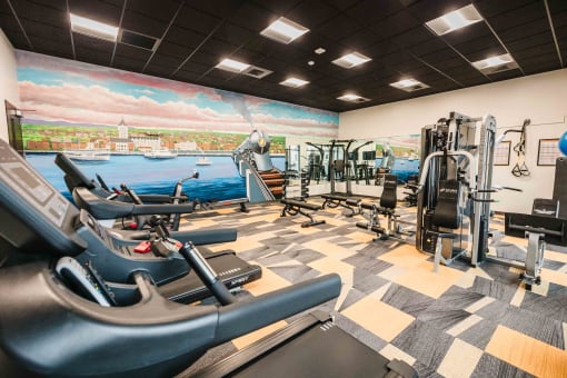 24-7 commercial gym-quality fitness center.