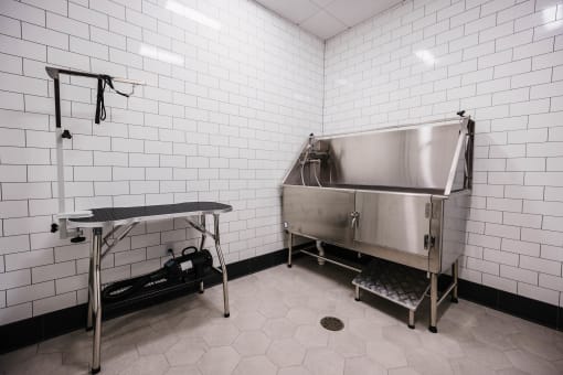 Our pet-friendly building includes an onsite pet spa!