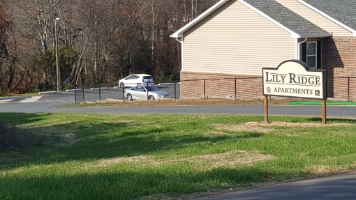 Lily Ridge