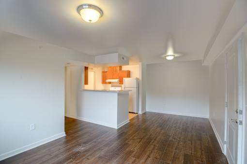 Living Room and Kitchen- View 1