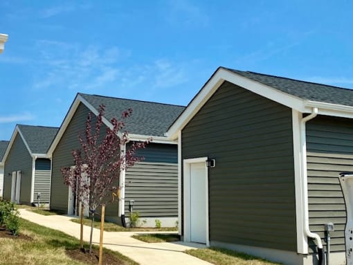 Walking Path at Braddock Terrace, Virginia, 20105