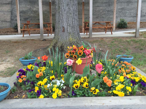 Community Garden at Highland Memorial, Gastonia, 28052