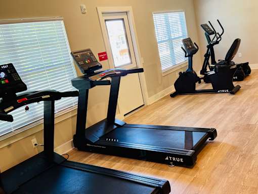 A room with a treadmill, a stationary bike and a rowing machine.