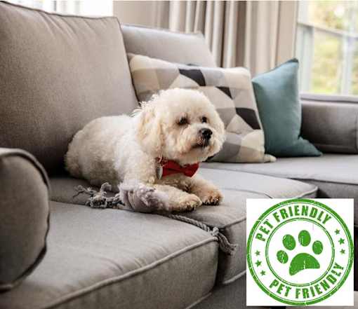 Pet Friendly at Poland Hill Senior Apartments, Chantilly, 20152