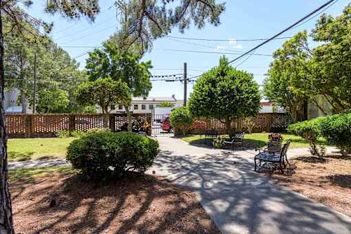 A backyard with a bench and a tree.at Kinston Hotel Apartments, Kinston, NC