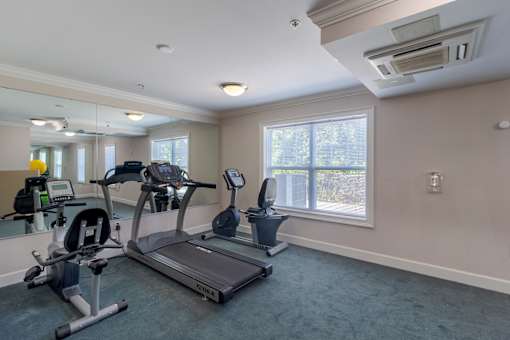 Bright fitness room with large windows, wall-length mirror, and high-quality cardio equipment including treadmill and recumbent bike at Snowden Senior Apartments.