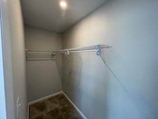 Large Closet at Braddock Terrace, Virginia