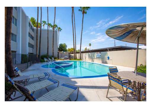 A pool surrounded by palm trees and chairs.