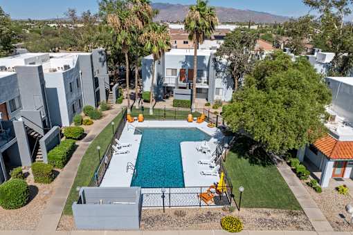 A swimming pool surrounded by a fence and palm trees.