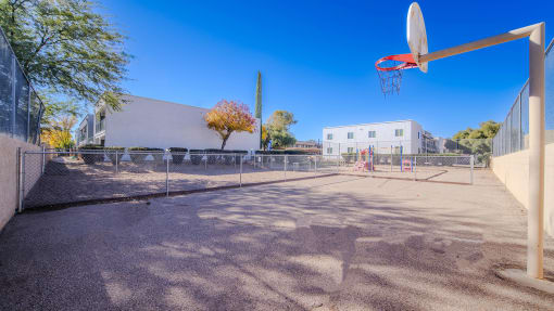 Basketball Court at La Primera at Green Valley Apartments
