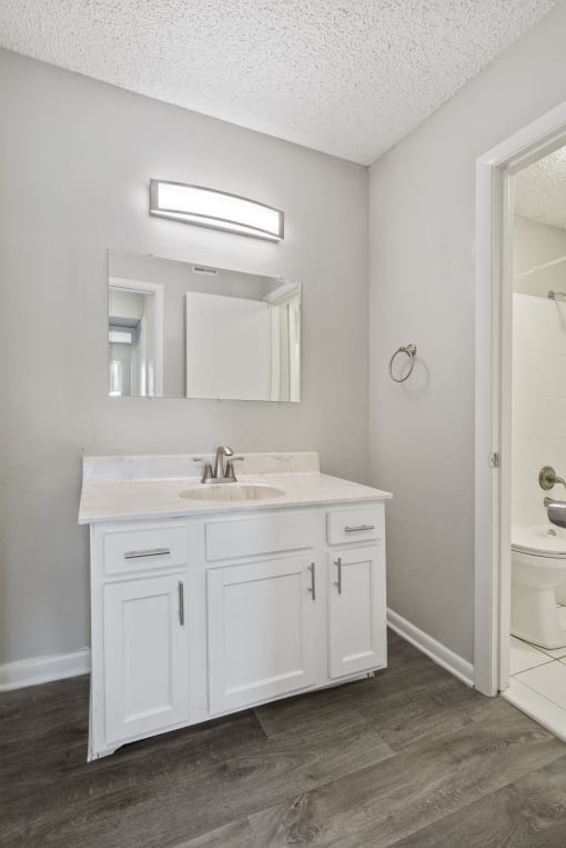 Bathroom Vanity at Falls at Mill Creek in Nashville Tennessee