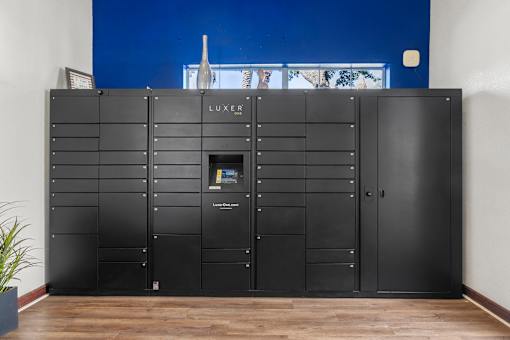 A black LUXER wardrobe with a mirror on top.