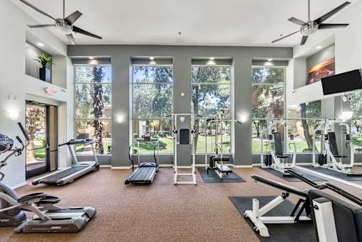 A spacious gym with treadmills, elliptical machines, and a rowing machine.