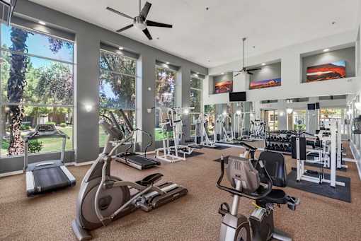 A gym with treadmills, elliptical machines, and other exercise equipment.