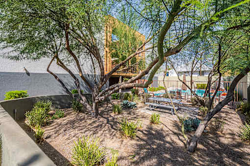 Outdoor Picnic Area at University Lofts Apartments near University of Arizona in Tucson Arizona