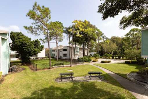 A park with benches and trees.