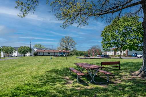 A picnic table sits in a grassy field with a tree to the right.
