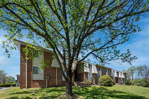 A tree in front of a building with a clear blue sky.