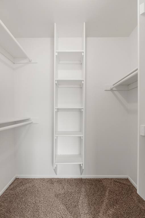 A white ladder in a room with carpeted floor.