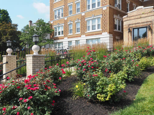 Garden outside building at The Packard, West Hartford, CT, 06119