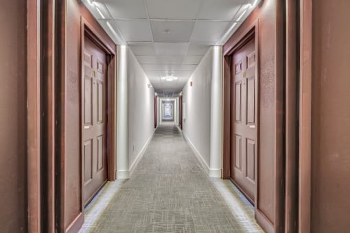 a hallway with brown doors and white walls and a carpeted floor at The Meriden, Meriden, CT 06450