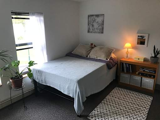 A bedroom with a bed, a potted plant, a lamp, and a picture frame on the wall.