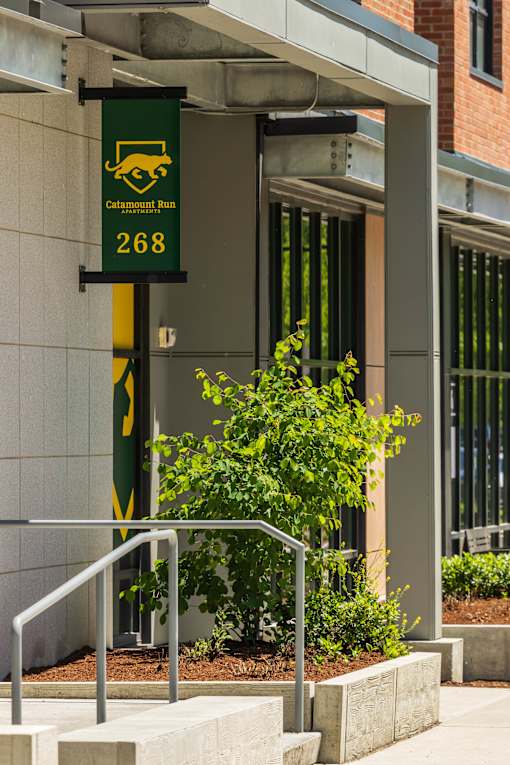 A green sign with a yellow logo and the number 268 is hanging from a building.