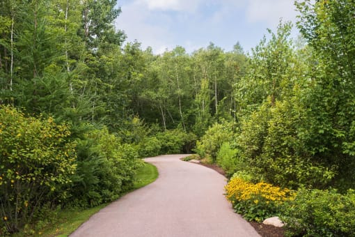 a path through a forest with yellow flowers on the side of the path