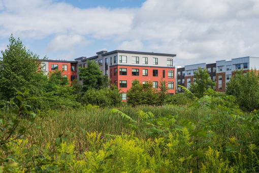 a grassy area with several apartment buildings in the background
