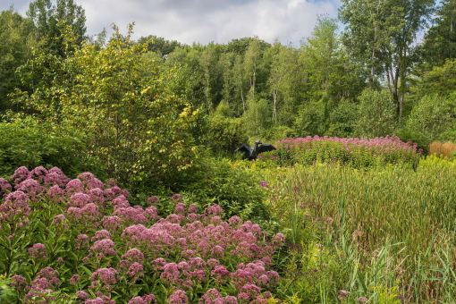 a bird flying over a lush green field