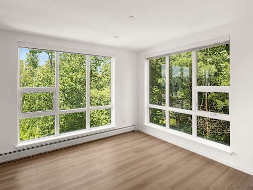 A room with two large windows overlooking a forest.