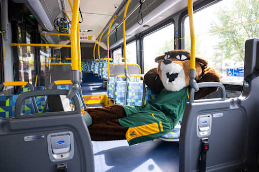 A bus with a mascot in a green jersey sitting in the front seat.