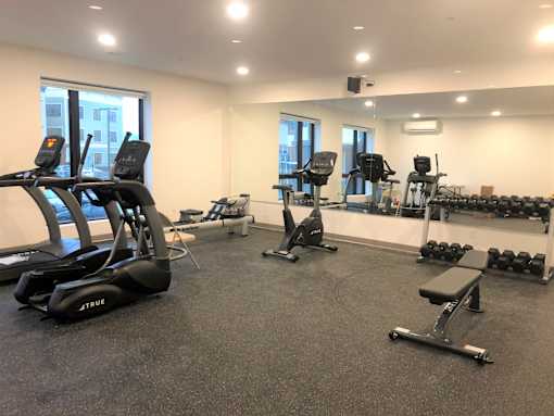 A gym with treadmills, weights, and exercise equipment.