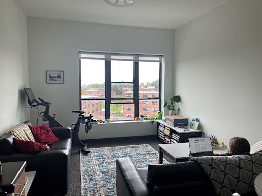 A person is sitting on a couch in a living room with a laptop on their lap.