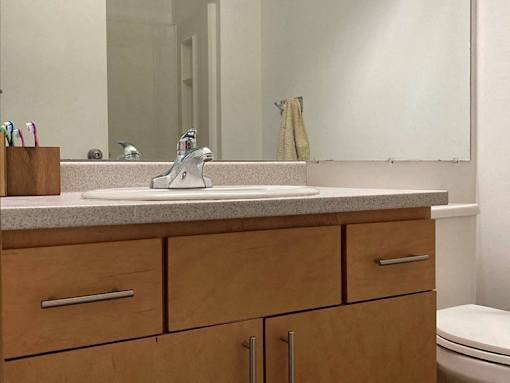 a bathroom with a sink and a toilet and a mirror