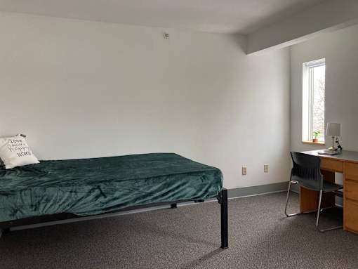 a bedroom with a bed and a desk with a chair