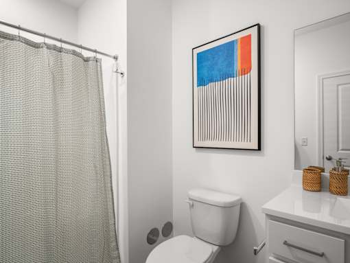 A bathroom with a toilet, a shower curtain, and a picture on the wall.
