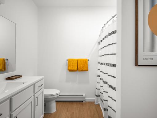 A bathroom with a toilet, sink, and a shower curtain.