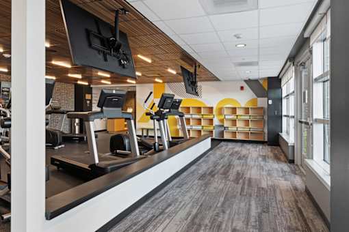 A gym with treadmills and exercise equipment.