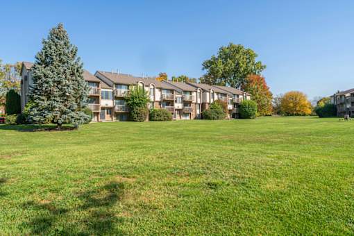 A grassy field with apartment buildings in the background.